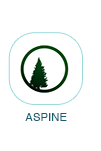 Aspine